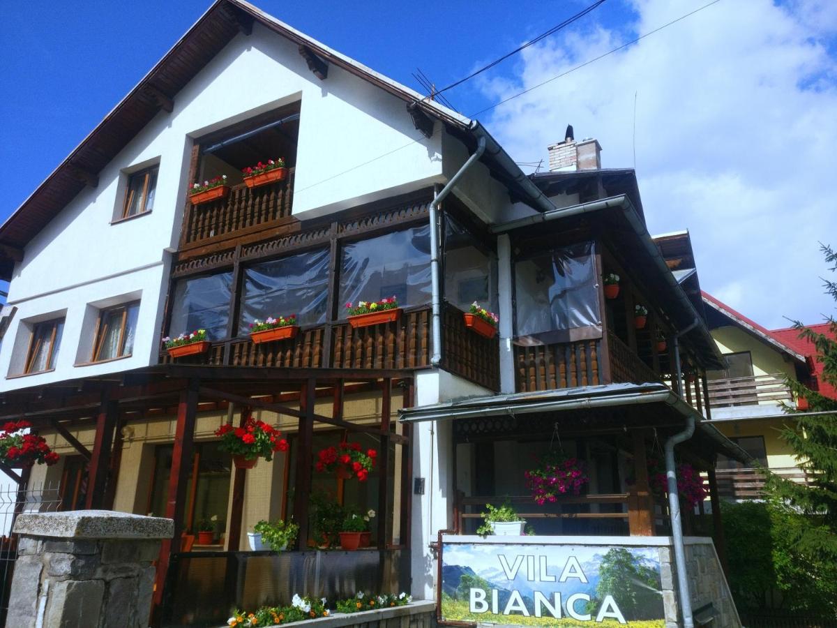 מלון בוסטאני Bianca House מראה חיצוני תמונה